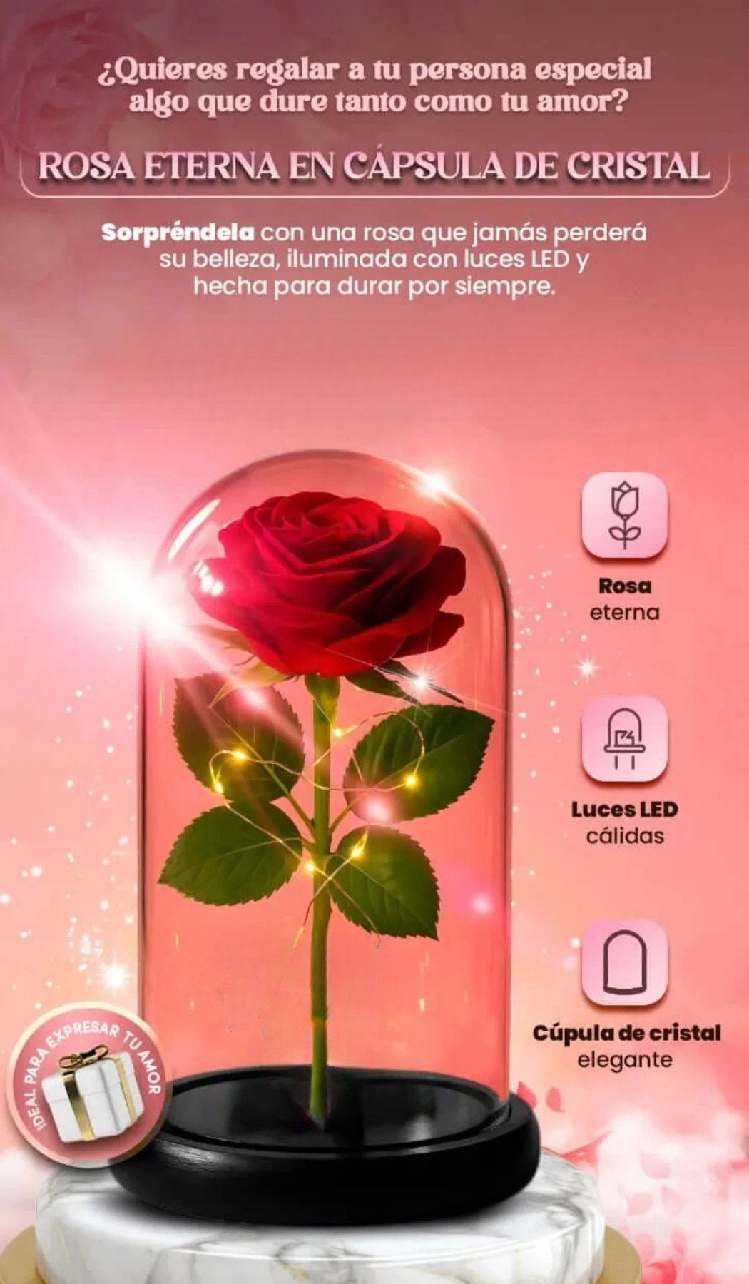 ROSA ETERNA EN CÁPSULA DE CRISTAL